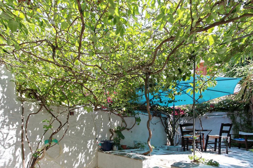 To Spitaki Apartments Galaxídhion Exterior foto